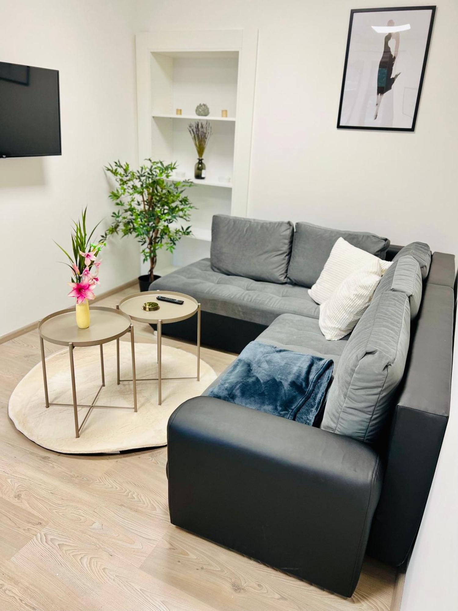 Sh-Apartments-Stylische Fewo Mia - Parken - Wifi Schmalkalden Eksteriør billede